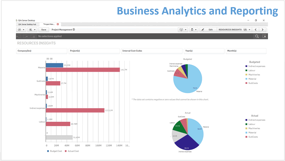 Project Management Business Intelligence Software